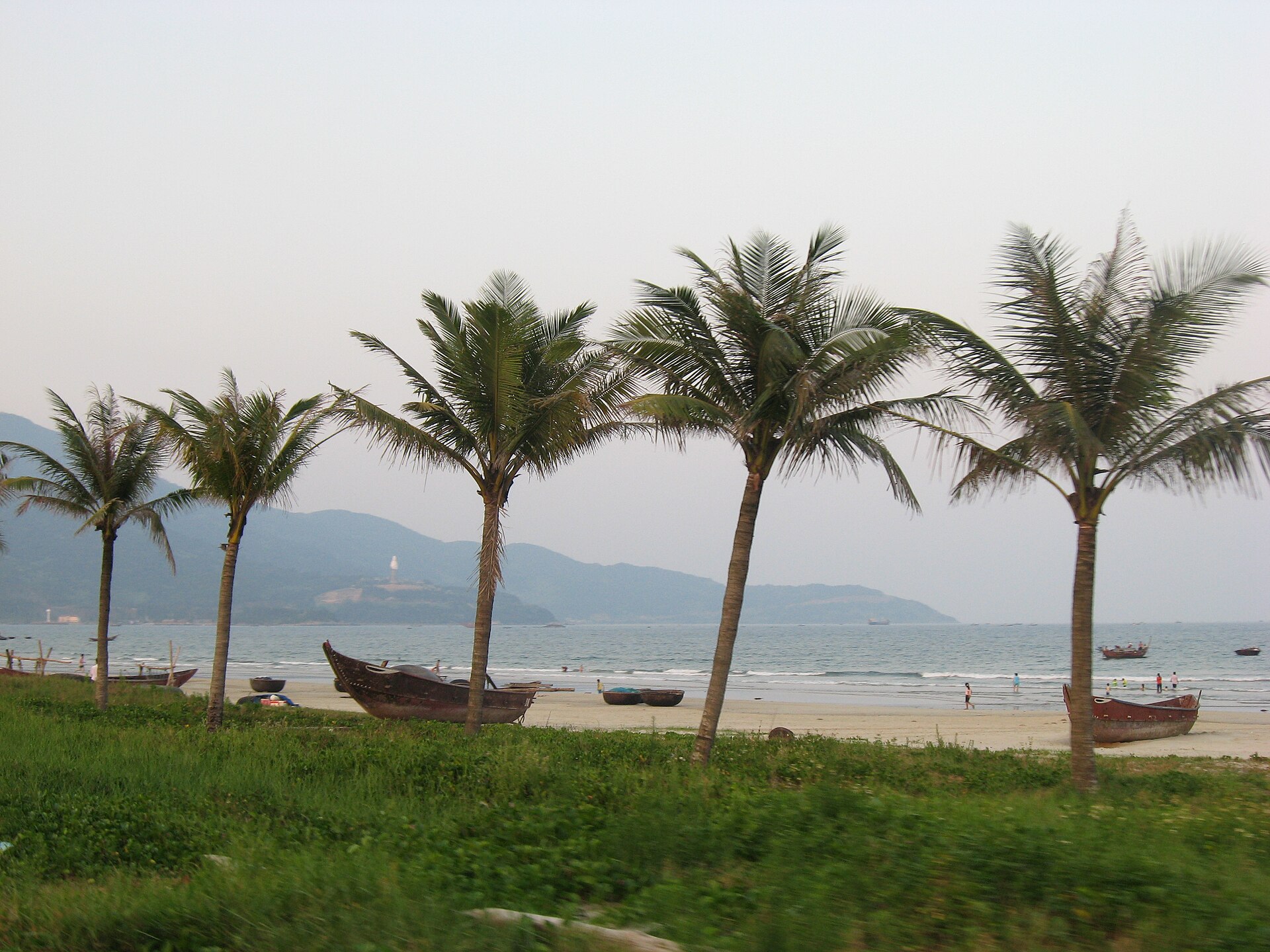 Palm trees leaning over a quiet sandy beach near Da Nang